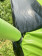Батут Calviano 374 см - 12ft OUTSIDE MASTER (зеленый)
