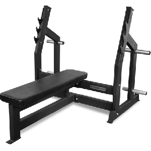 Скамья для жима BRONZE GYM AL-304