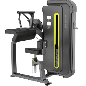 Разгибание рук сидя BRONZE GYM BW-3027
