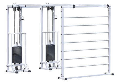 Биотонус-2+шведская стенка Central Sport Pro, AR088.2х2200 (стек 2х75кг)
