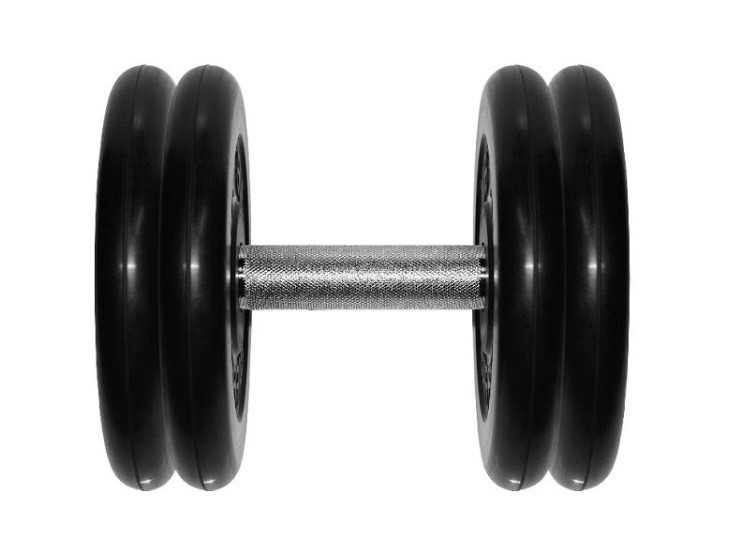 Гантель BARBELL "профи" (23.5 кг)