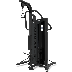 Бицепс/Трицепс стоя BRONZE GYM NEO 86