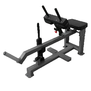 Голень сидя BRONZE GYM BGR-807