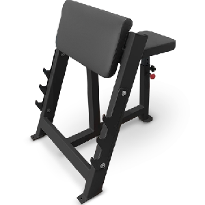 Скамья Скотта BRONZE GYM AL-303