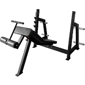 Скамья для жима BRONZE GYM AL-306