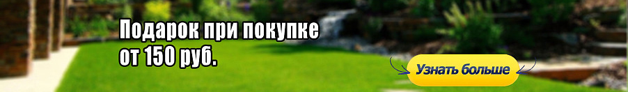 Тенты, шезлонги подарок