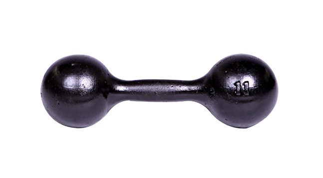 Гантель литая TITAN (11 кг)