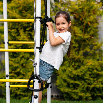 Дачный комплекс Romana Богатырь Плюс 2 MAX, без качелей, 103.12.07 (серый-жёлтый)