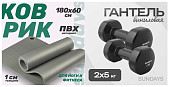 Набор для фитнеса Sundays Fitness Гантель IR92005 2х5кг + Коврик IR97506 (черный, серый)