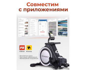 Гребной тренажер DFC ECHANFIT складной