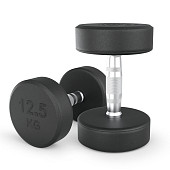 Гантели круглые обрезиненные UNIX Fit PRO (12.5 кг, 2 шт)