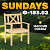 Кресло садовое Sundays Ф-183.02 590x90x640 (мед)