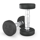 Гантели круглые обрезиненные UNIX Fit PRO (2.5 кг, 2 шт)