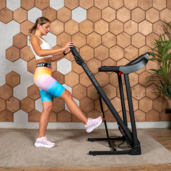 Беговая дорожка CARBON FITNESS T306 NEW