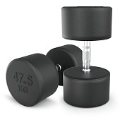 Гантели круглые обрезиненные UNIX Fit PRO (47.5 кг, 2 шт)