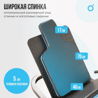 Жим ногами/Гакк-присед OXYGEN FITNESS HADLEY