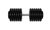 Гантель BARBELL "профи" (66 кг)