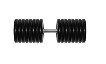 Гантель BARBELL "профи" (81 кг)