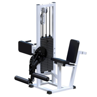 Разгибание ног сидя + сгибание стоя Central Sport Pro, AR041 (стек 100 кг)