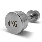 Гантели UNIX Fit PRO круглые, хромированные (4 кг, 2 шт)