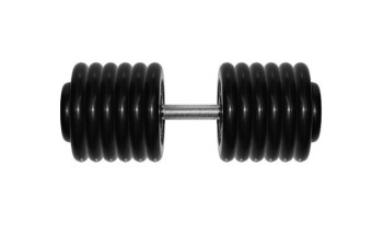 Гантель BARBELL "профи" (66 кг)