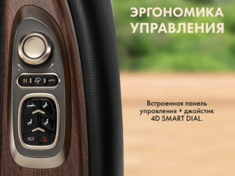 Массажное кресло FUJIMO TON PRO (графит)