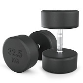 Гантели круглые обрезиненные UNIX Fit PRO (32.5 кг, 2 шт)