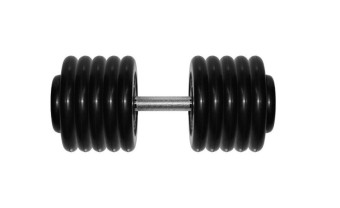 Гантель BARBELL "профи" (58.5 кг)