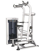 Гравитрон подтягивание/отжимание Impulse ExoForm FE9720