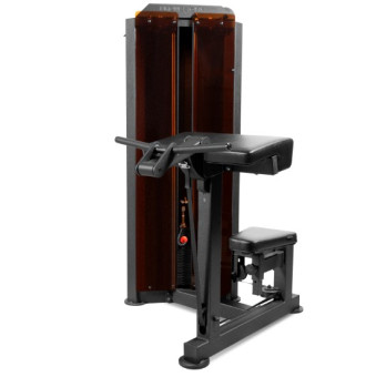 Бицепс машина BRONZE GYM PARTNER ML-803