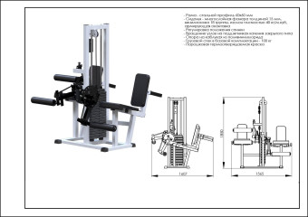 Разгибание ног сидя + Сгибание ног сидя Central Sport Pro, AR053.3 (стек 100 кг)