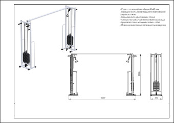 Реабилитационный кроссовер Central Sport Pro, AR060.2х2200 (стек 2х60кг)