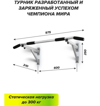 Турник Absolute Champion Aktiv (серый-шагрень)