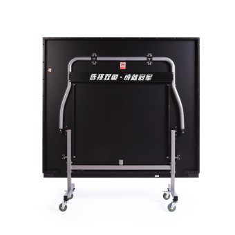 Теннисный стол DOUBLE FISH Indoor 2018G (зеленый)