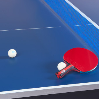 Теннисный стол DOUBLE FISH Indoor 201C-2 (синий)