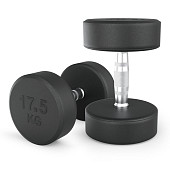 Гантели круглые обрезиненные UNIX Fit PRO (17.5 кг, 2 шт)