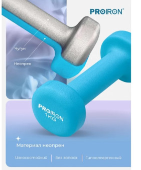 Гантели неопреновые PROIRON Г2010СНЕО (2 шт по 1 кг, голубые)