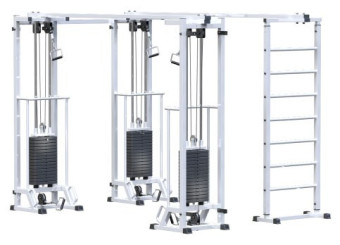 Биотонус-3+шведская стенка Central Sport Pro, AR087.3х2200 (стек 3х75кг)
