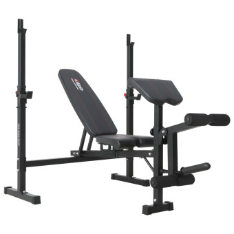 Скамья под штангу Alpin Titan G-50