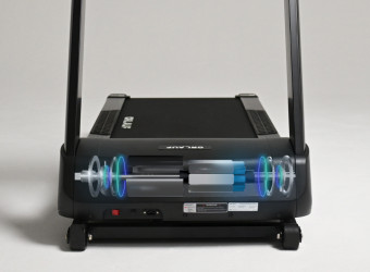 Беговая дорожка Orlauf Leguan