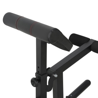 Скамья под штангу Alpin Titan G-50