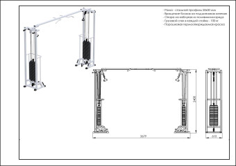 Биотонус-2 Central Sport Pro, AR086.2х2400 (с турником, стек 2х100 кг)