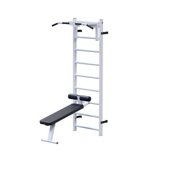 Шведская стенка с навесным оборудованием Central Sport Pro, L073