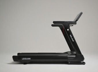 Беговая дорожка Orlauf Leguan