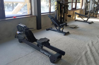 Гребной тренажер Spirit Fitness CRW900