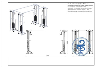 Биотонус-4 Central Sport Pro, AR089.4х2200 (стек 4х75 кг)