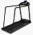 Беговая дорожка Clear Fit Family TM 250R