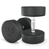 Гантели круглые обрезиненные UNIX Fit PRO (27.5 кг, 2 шт)