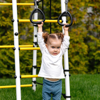 Дачный комплекс Romana Богатырь Плюс 2 MAX, без качелей, 103.12.07 (серый-жёлтый)