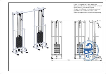 Биотонус-2 Central Sport Pro, AR087.2х2200 (стек 2х75кг)